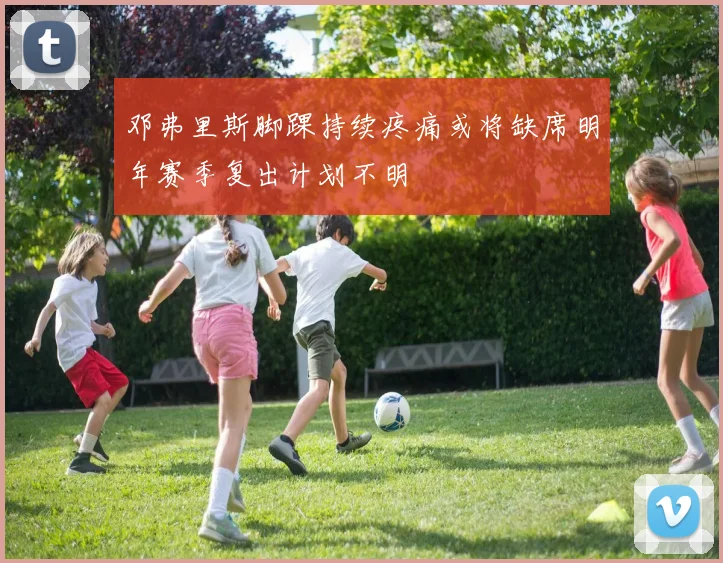 邓弗里斯脚踝持续疼痛或将缺席明年赛季复出计划不明