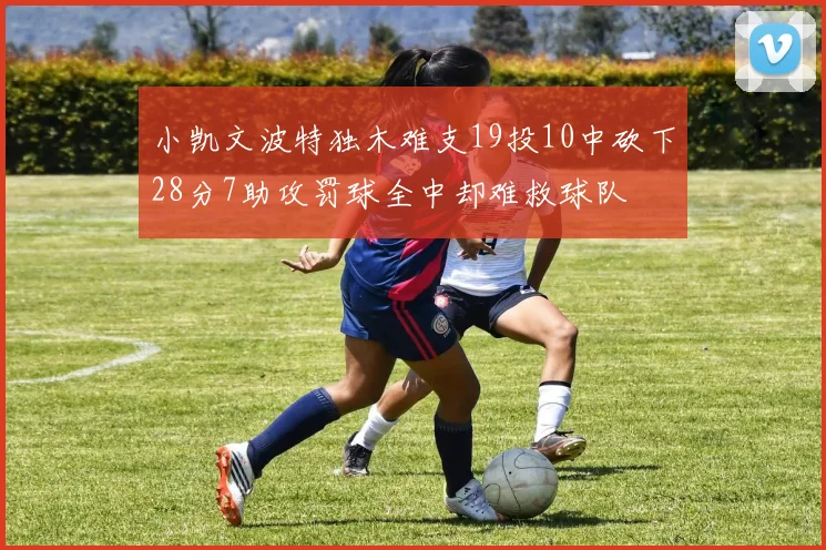 小凯文波特独木难支19投10中砍下28分7助攻罚球全中却难救球队