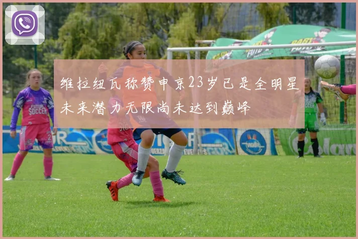 维拉纽瓦称赞申京23岁已是全明星未来潜力无限尚未达到巅峰