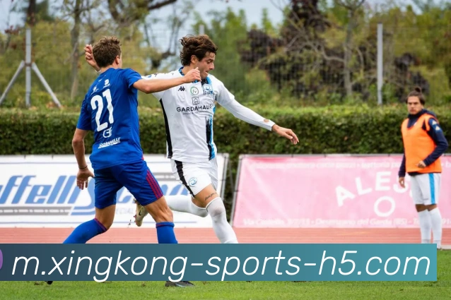 星空体育平台生态图